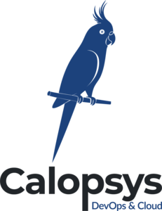 CALOPSYS - DEVOPS PART TIME